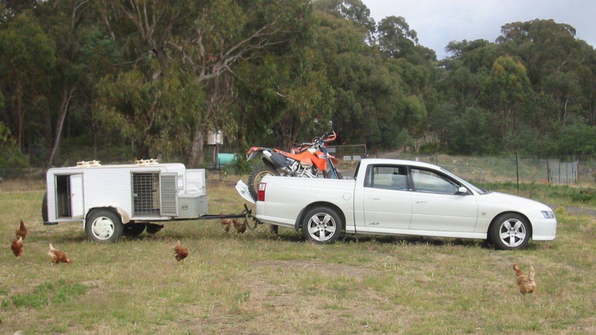 2003-2004 Holden VY II Crewman SS utility 01